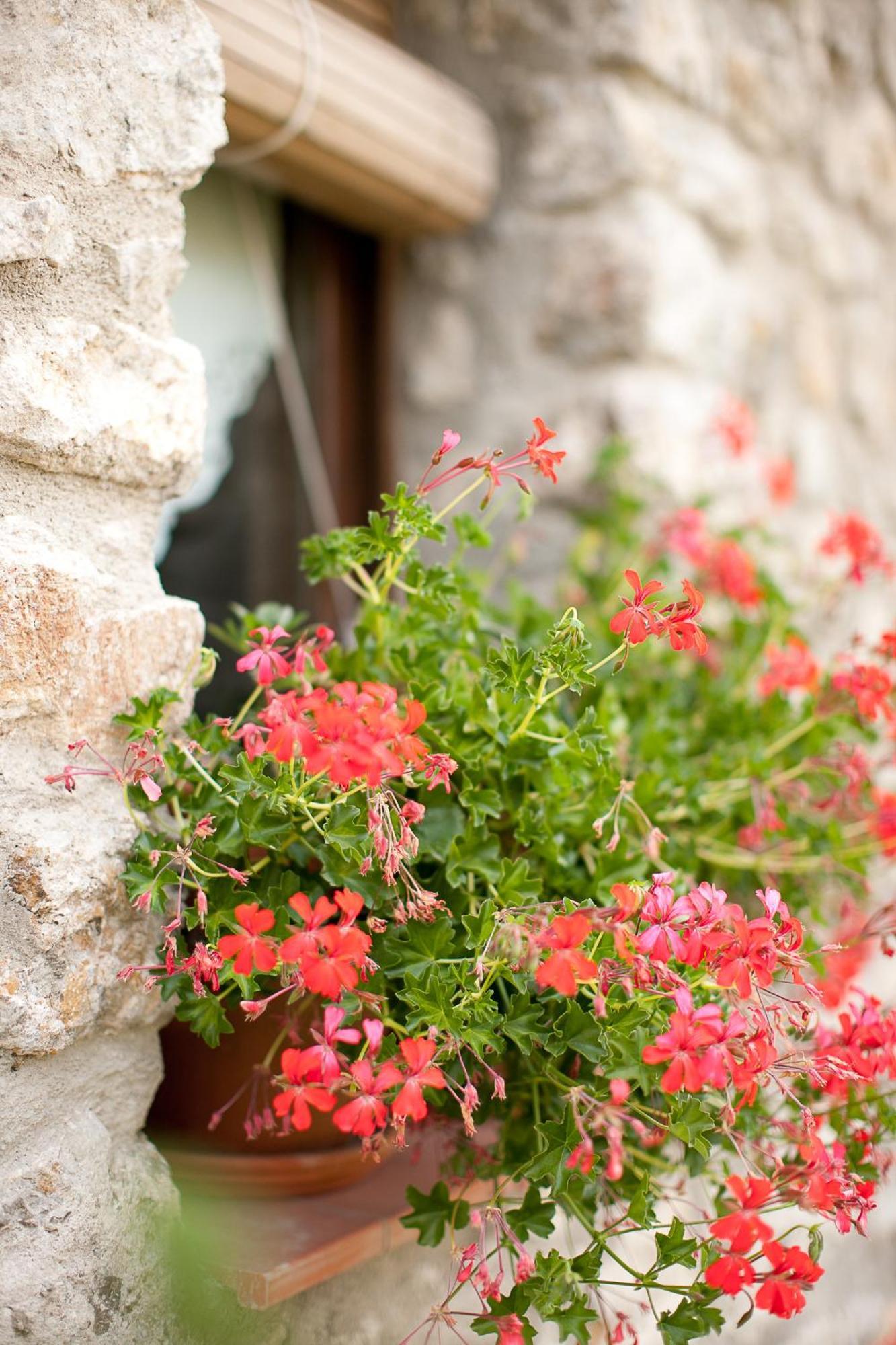Country house Casa Leonardo